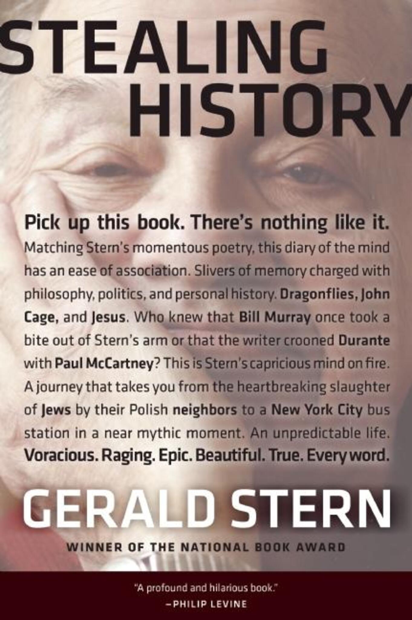 Cover image for Stealing History ISBN 9781595341419